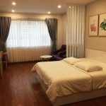 Henry House Serviced Apartment 1Room Dist.1 HCMC