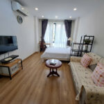 Studio Serviced apartment around Phan Viet chanh St. Binh Thanh District, HCM City