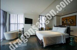 AMANAKI THAO DIEN　アマナキタオディエン  スタジオ 50㎡　ホーチミン2区